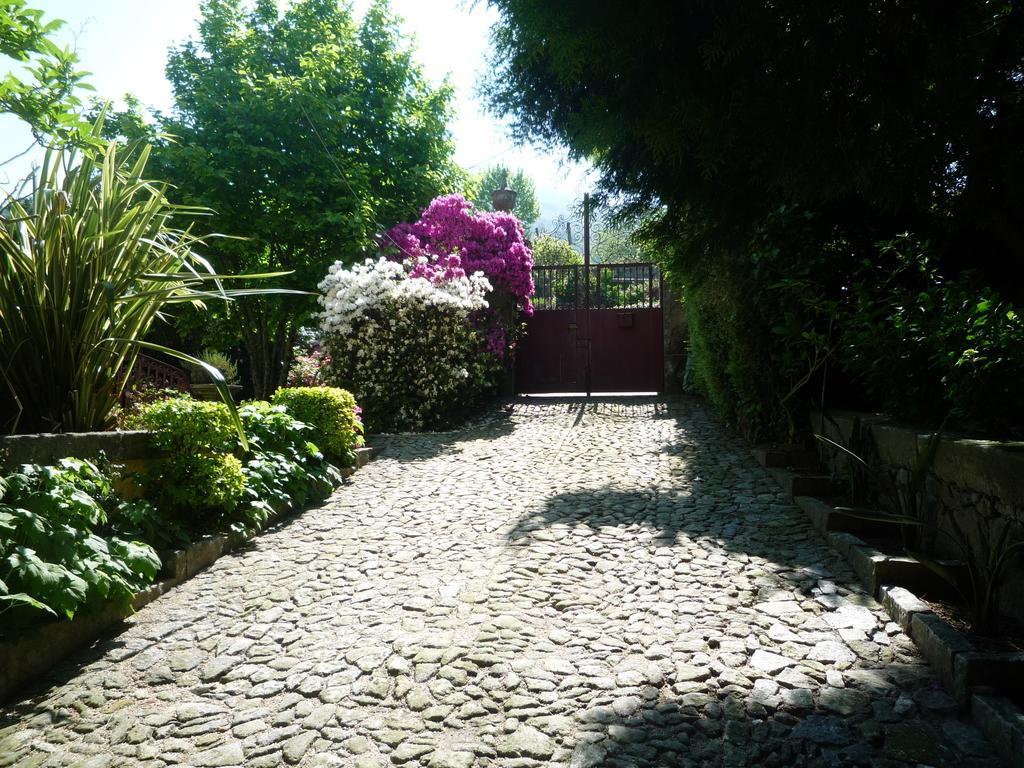 Casa Magnolia Villa Braga Eksteriør billede